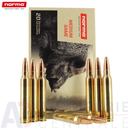 20 Cartouches Norma Plastic Point - 300 Win Mag (180gr)