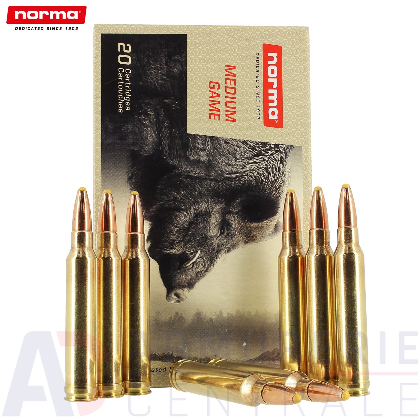 20 Cartouches Norma Plastic Point - 300 Win Mag (180gr)