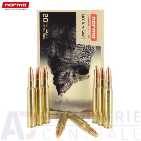 Boite de 20 Cartouches Norma Plastic Point - 30-06...