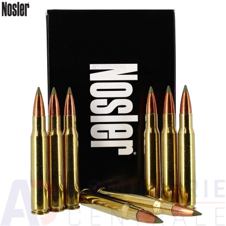 20 Cartouches Nosler 30-06 Sprg 180gr E-Tip