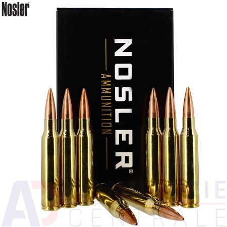 20 Nosler 338 Lapua Magnum HPBT 300gr