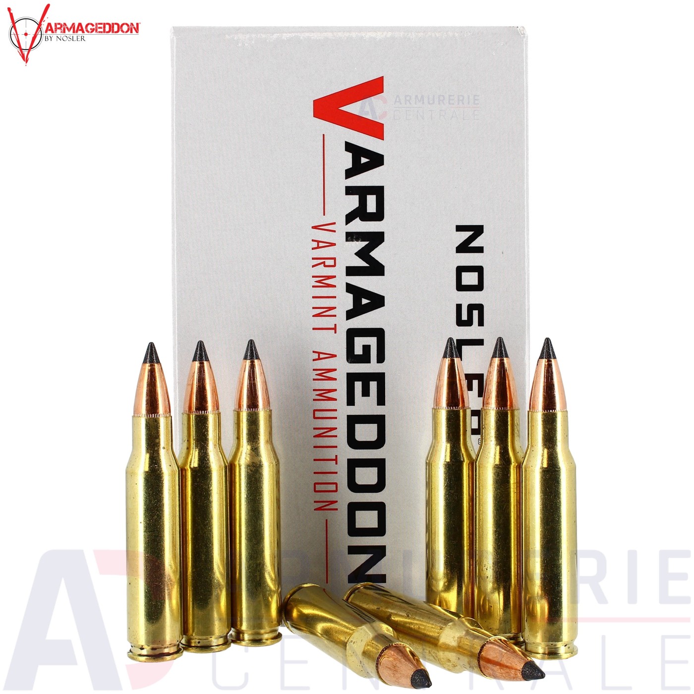 Boite de 20 cartouches Varmageddon Varmint 308 Win 110gr FB Tipped Boite de 20 cartouches Varmageddon Varmint 308 Win 110gr FB Tipped
